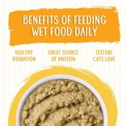 Weruva Slide N' Serve The Slice Is Right Wild Caught Salmon Dinner Pate Grain-Free Cat Food Pouches -PurePet Bites Shop 149542 PT5. AC SS1800 V1674073816