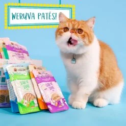 Weruva Slide N' Serve The Slice Is Right Wild Caught Salmon Dinner Pate Grain-Free Cat Food Pouches -PurePet Bites Shop 149542 PT8. AC SS1800 V1674151315
