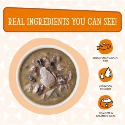 Weruva Cats In The Kitchen Pumpkin Jack Splash Tuna In Pumpkin Soup Grain-Free Cat Food Pouches -PurePet Bites Shop 149774 PT4. AC SS1800 V1700860100