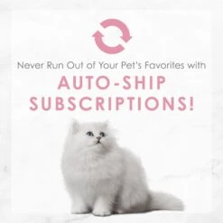 Fancy Feast Kitten Tender Salmon Feast Canned Cat Food -PurePet Bites Shop 149827 PT8. AC SS1800 V1691419273