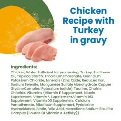 Almo Nature HQS Complete Chicken With Turkey Grain-Free Canned Cat Food -PurePet Bites Shop 150645 PT3. AC SS1800 V1639539140