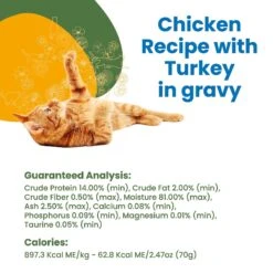 Almo Nature HQS Complete Chicken With Turkey Grain-Free Canned Cat Food -PurePet Bites Shop 150645 PT4. AC SS1800 V1639539100