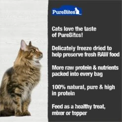 PureBites Ocean Medley Freeze-Dried Raw Cat Treats -PurePet Bites Shop 150655 PT4. AC SS1800 V1677604646