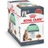 Royal Canin Feline Care Nutrition Digestive Care Adult Chunks In Gravy Pouch Cat Food -PurePet Bites Shop 151281 MAIN. AC SS1800 V1697753768