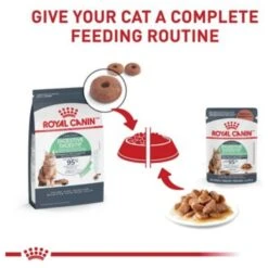 Royal Canin Feline Care Nutrition Digestive Care Adult Chunks In Gravy Pouch Cat Food -PurePet Bites Shop 151281 PT5. AC SS1800 V1697761752