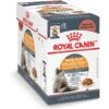 Royal Canin Feline Care Nutrition Hair & Skin Care Chunks In Gravy Pouch Cat Food, 3-oz, Case Of 12 -PurePet Bites Shop 151283 MAIN. AC SS1800 V1697754021