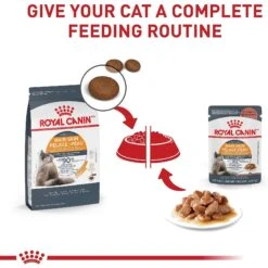 Royal Canin Feline Care Nutrition Hair & Skin Care Chunks In Gravy Pouch Cat Food, 3-oz, Case Of 12 -PurePet Bites Shop 151283 PT5. AC SS1800 V1697762138