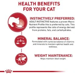 Royal Canin Feline Health Nutrition Adult Instinctive Chunks In Gravy Cat Food Pouch -PurePet Bites Shop 151285 PT3. AC SS1800 V1697759798