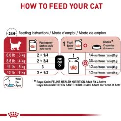 Royal Canin Feline Health Nutrition Adult Instinctive Chunks In Gravy Cat Food Pouch -PurePet Bites Shop 151285 PT5. AC SS1800 V1697757373