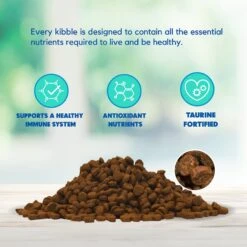 Lucy Pet Products Formulas For Life Salmon, Pumpkin & Quinoa Formula Grain-Free Dry Cat Food -PurePet Bites Shop 151358 PT3. AC SS1800 V1581698372