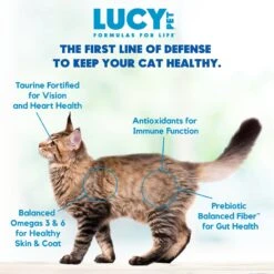 Lucy Pet Products Formulas For Life Salmon, Pumpkin & Quinoa Formula Grain-Free Dry Cat Food -PurePet Bites Shop 151358 PT5. AC SS1800 V1581698342