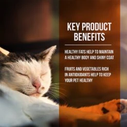 Fussie Cat Market Fresh Guinea Fowl & Turkey Meal Recipe Grain-Free Dry Cat Food -PurePet Bites Shop 152791 PT2. AC SS1800 V1642569686