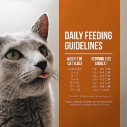 Fussie Cat Market Fresh Guinea Fowl & Turkey Meal Recipe Grain-Free Dry Cat Food -PurePet Bites Shop 152791 PT5. AC SS1800 V1642546963