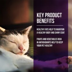 Fussie Cat Market Fresh Quail & Duck Meal Recipe Grain-Free Dry Cat Food -PurePet Bites Shop 152795 PT2. AC SS1800 V1642569986