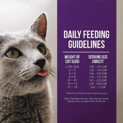 Fussie Cat Market Fresh Quail & Duck Meal Recipe Grain-Free Dry Cat Food -PurePet Bites Shop 152795 PT5. AC SS1800 V1642577189