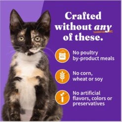 Halo Chicken Recipe With Real Whole Chicken Grain-Free Kitten Wet Food -PurePet Bites Shop 153680 PT5. AC SS1800 V1682351624