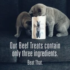 Meat Mates Beef Freeze-Dried Raw Cat Treats -PurePet Bites Shop 153829 PT1. AC SS1800 V1594853813