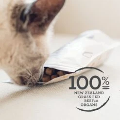 Meat Mates Beef Freeze-Dried Raw Cat Treats -PurePet Bites Shop 153829 PT2. AC SS1800 V1594853491