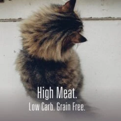 Meat Mates Beef Freeze-Dried Raw Cat Treats -PurePet Bites Shop 153829 PT4. AC SS1800 V1594857377