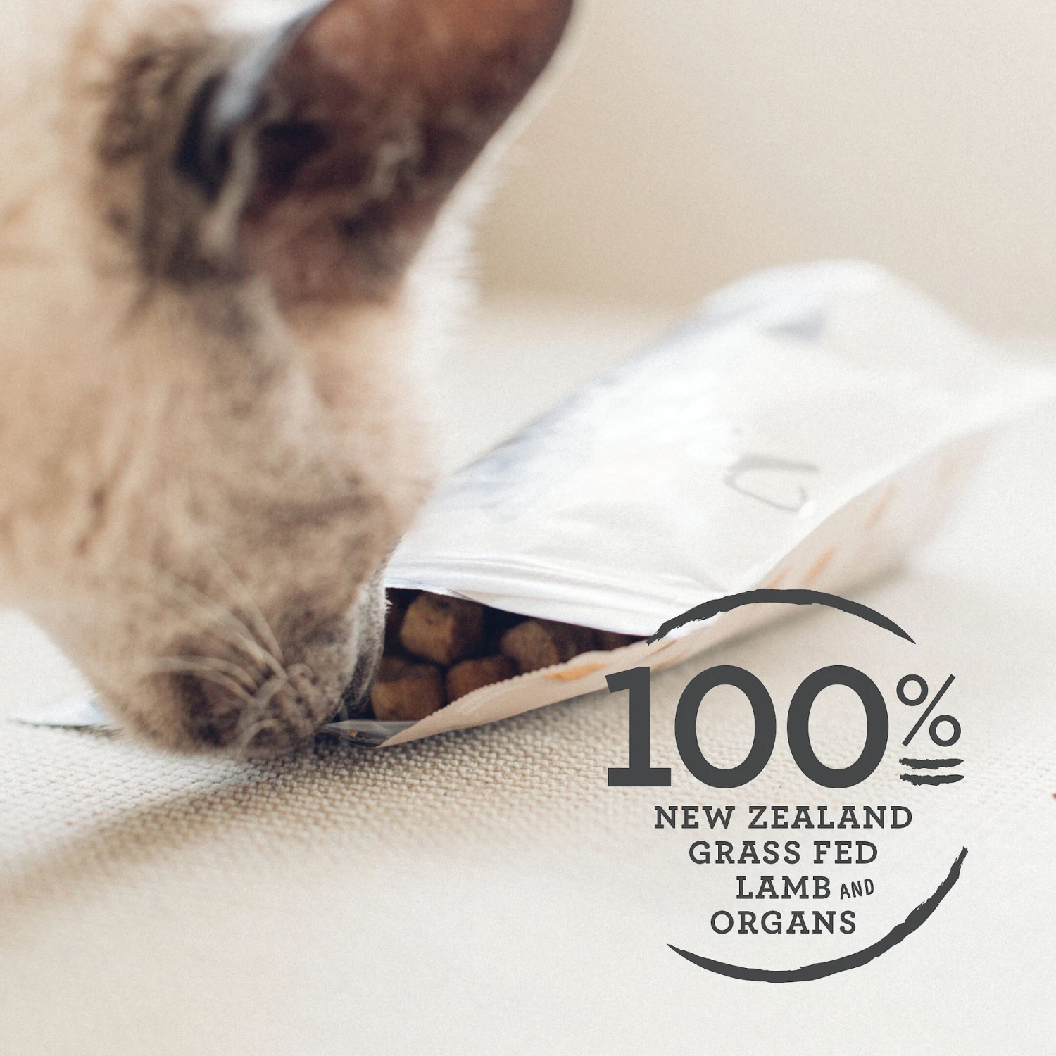 Meat Mates Lamb Freeze-Dried Raw Cat Treats 5 Meat Mates Lamb Freeze-Dried Raw Cat Treats - Image 3