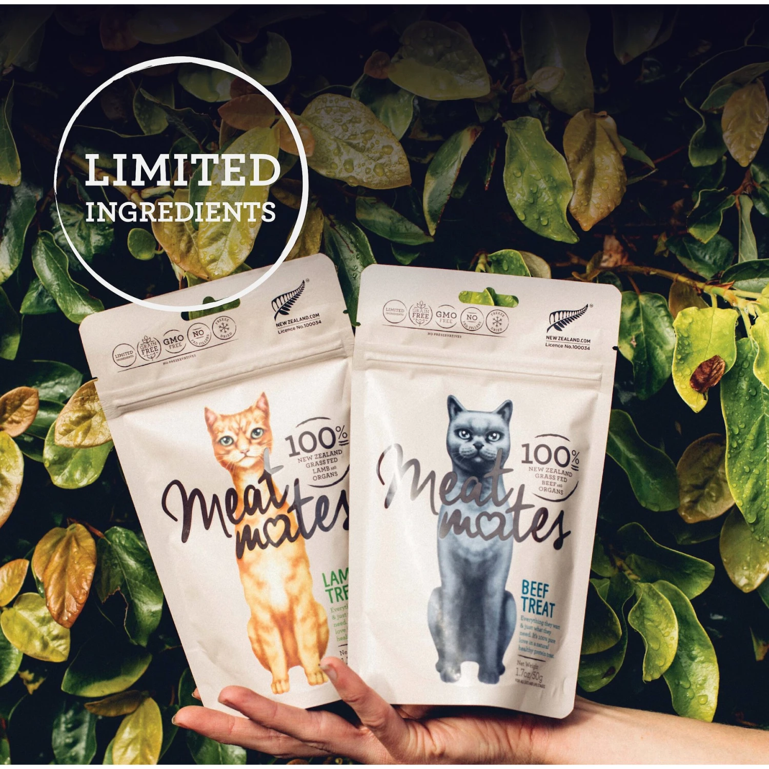 Meat Mates Lamb Freeze-Dried Raw Cat Treats 6 Meat Mates Lamb Freeze-Dried Raw Cat Treats - Image 4