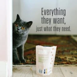 Meat Mates Lamb Freeze-Dried Raw Cat Treats 16 Meat Mates Lamb Freeze-Dried Raw Cat Treats -PurePet Bites Shop 153831 PT5. AC SS1800 V1594935960