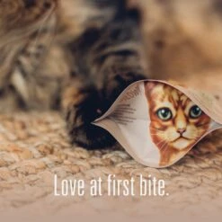 Meat Mates Chicken Freeze-Dried Raw Cat Treats -PurePet Bites Shop 153833 PT7. AC SS1800 V1594935989