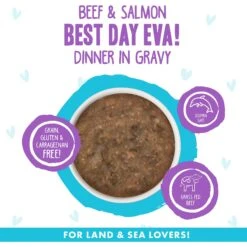BFF OMG Best Day Eva! Beef & Salmon Dinner In Gravy Grain-Free Canned Cat Food -PurePet Bites Shop 154841 PT2. AC SS1800 V1646842299