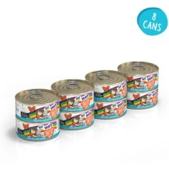 BFF OMG Crazy 4 U! Chicken & Salmon Dinner In Gravy Grain-Free Canned Cat Food -PurePet Bites Shop 154843 PT1. AC SS1800 V1646842905