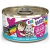 BFF OMG Lots-O-Luck! Duck & Tuna Dinner In Gravy Grain-Free Canned Cat Food -PurePet Bites Shop 154844 MAIN. AC SS1800 V1646837801