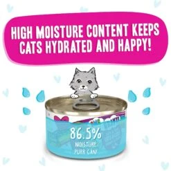 BFF OMG Lots-O-Luck! Duck & Tuna Dinner In Gravy Grain-Free Canned Cat Food -PurePet Bites Shop 154844 PT3. AC SS1800 V1646848283