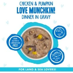 BFF OMG Love Munchkin! Chicken & Pumpkin Dinner In Gravy Grain-Free Canned Cat Food -PurePet Bites Shop 154847 PT2. AC SS1800 V1646842302