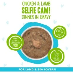 BFF OMG Selfie Cam! Chicken & Lamb Dinner In Gravy Grain-Free Canned Cat Food -PurePet Bites Shop 154851 PT2. AC SS1800 V1646842885