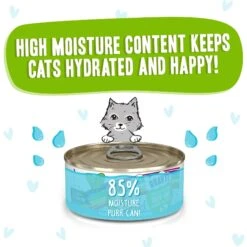 BFF OMG Selfie Cam! Chicken & Lamb Dinner In Gravy Grain-Free Canned Cat Food -PurePet Bites Shop 154851 PT3. AC SS1800 V1646848065