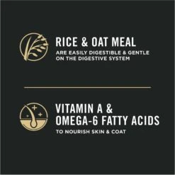 Purina Pro Plan Sensitive Skin & Stomach Turkey & Oat Meal Formula Dry Cat Food -PurePet Bites Shop 155234 PT4. AC SS1800 V1649222813