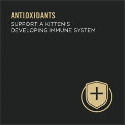 Purina Pro Plan Focus Kitten Favorites Variety Pack Canned Cat Food -PurePet Bites Shop 155241 PT5. AC SS1800 V1643839896