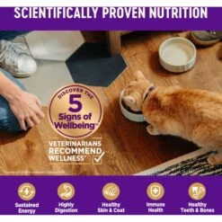 Wellness Complete Health Chicken & Deboned Chicken Grain-Free Senior Dry Cat Food -PurePet Bites Shop 155316 PT4. AC SS1800 V1636513102