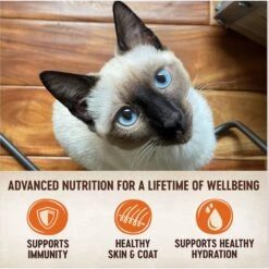 Wellness CORE Tiny Tasters Duck Pate Grain-Free Cat Food Pouches -PurePet Bites Shop 155326 PT3. AC SS1800 V1695847886