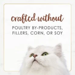 Fancy Feast Gourmet Naturals Beef Recipe In Gravy Canned Cat Food -PurePet Bites Shop 155537 PT6. AC SS1800 V1677102859