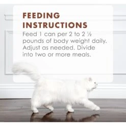 Fancy Feast Gourmet Naturals Beef Recipe In Gravy Canned Cat Food -PurePet Bites Shop 155537 PT8. AC SS1800 V1543333962