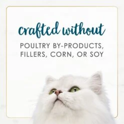 Fancy Feast Gourmet Naturals Tuna Recipe In Gravy Canned Cat Food 17 Fancy Feast Gourmet Naturals Tuna Recipe In Gravy Canned Cat Food -PurePet Bites Shop 155539 PT6. AC SS1800 V1677102451