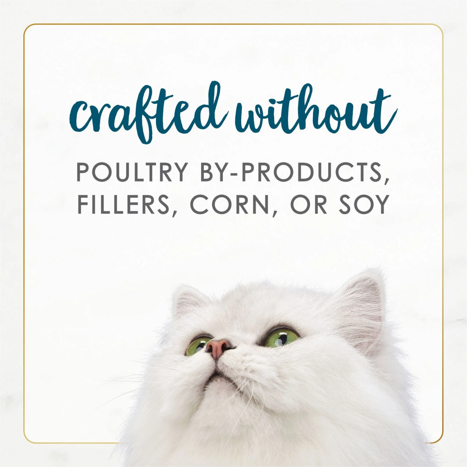 Fancy Feast Gourmet Naturals Tuna Recipe In Gravy Canned Cat Food 9 Fancy Feast Gourmet Naturals Tuna Recipe In Gravy Canned Cat Food - Image 7