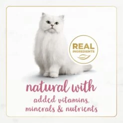 Fancy Feast Gourmet Naturals Wild Alaskan Salmon & Shrimp Recipe In Gravy Canned Cat Food -PurePet Bites Shop 155541 PT3. AC SS1800 V1677103476