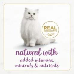 Fancy Feast Gourmet Naturals Beef Recipe Pate Canned Cat Food, 3-oz, Case Of 12 -PurePet Bites Shop 155545 PT3. AC SS1800 V1677102858