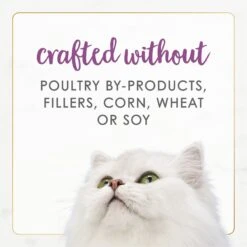 Fancy Feast Gourmet Naturals Beef Recipe Pate Canned Cat Food, 3-oz, Case Of 12 -PurePet Bites Shop 155545 PT6. AC SS1800 V1677102857