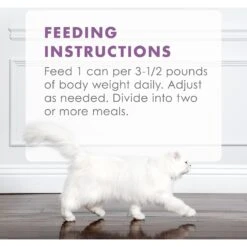 Fancy Feast Gourmet Naturals Beef Recipe Pate Canned Cat Food, 3-oz, Case Of 12 -PurePet Bites Shop 155545 PT8. AC SS1800 V1543334182