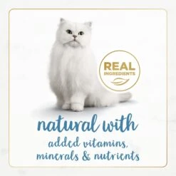 Fancy Feast Gourmet Naturals Trout & Tuna Recipe Pate Canned Cat Food, 3-oz, Case Of 12 -PurePet Bites Shop 155547 PT3. AC SS1800 V1677103478