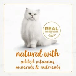 Fancy Feast Gourmet Naturals Wild Alaskan Salmon Recipe Pate Canned Cat Food, 3-oz, Case Of 12 -PurePet Bites Shop 155549 PT3. AC SS1800 V1677102861