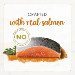 Fancy Feast Gourmet Naturals Wild Alaskan Salmon Recipe Pate Canned Cat Food, 3-oz, Case Of 12 -PurePet Bites Shop 155549 PT4. AC SS1800 V1677103537