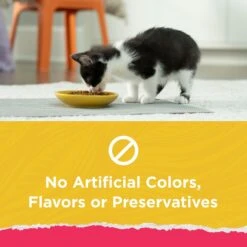 Kitten Chow Naturals Original With Added Vitamins, Minerals & Nutrients Dry Cat Food -PurePet Bites Shop 155804 PT2. AC SS1800 V1695836515